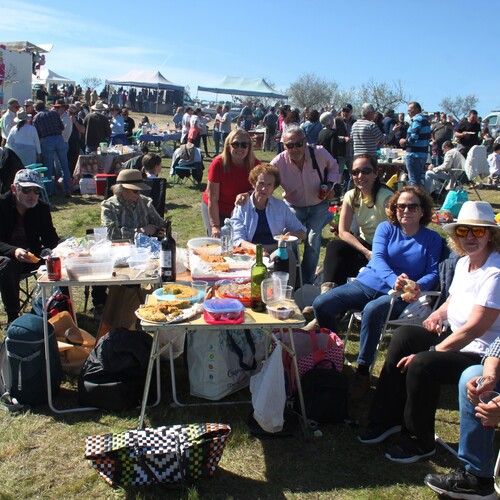 Almendro en flor 2026 (70)